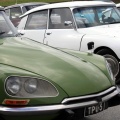 IMG_3329 _Large_.jpg